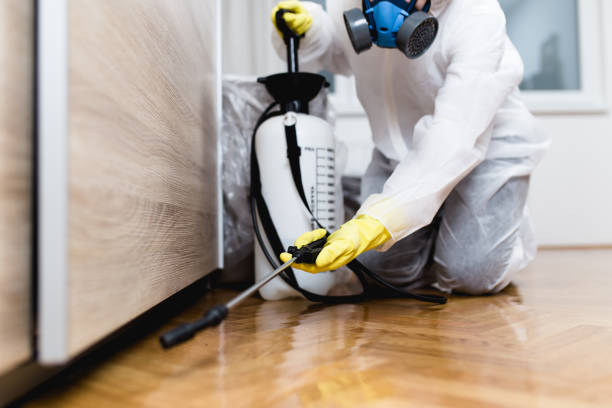 Best Cockroach Control Services  in Willards, MD