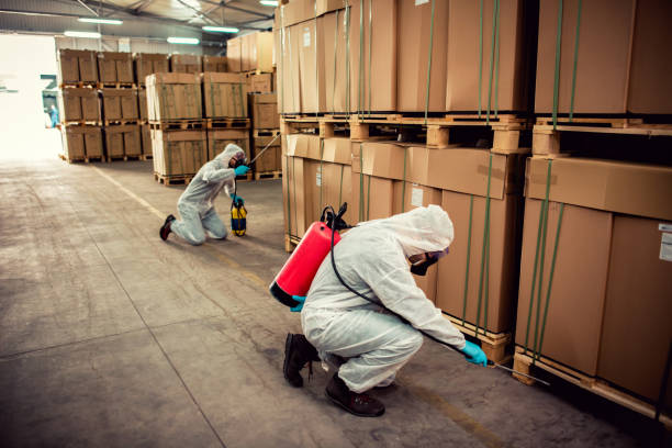 Best Wildlife Control Services  in Willards, MD