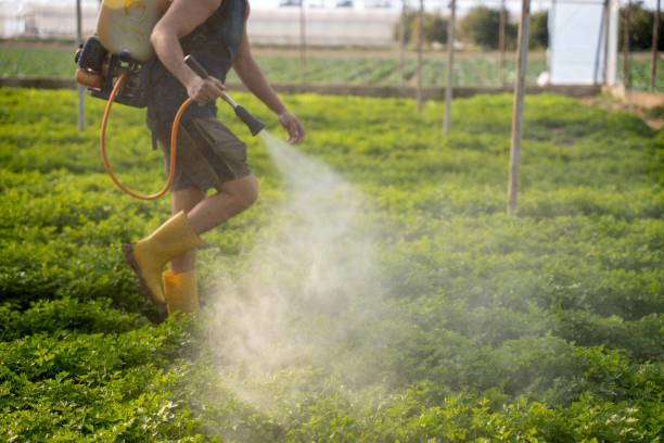 Best Pest Control for Businesses  in Willards, MD