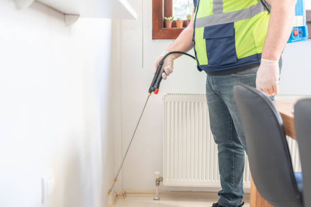 Best Local Pest Control Services  in Willards, MD