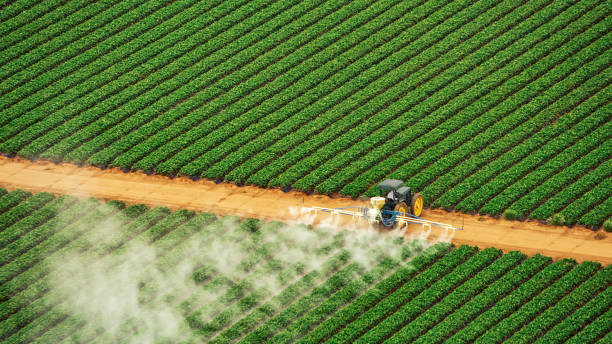 Best Pest Removal Services  in Willards, MD