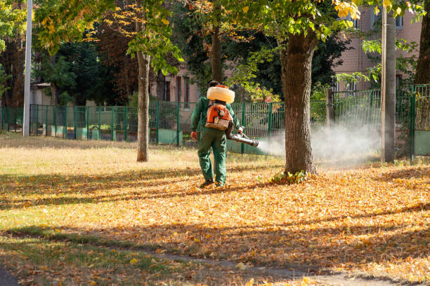 Wasp Removal Services in Willards, MD